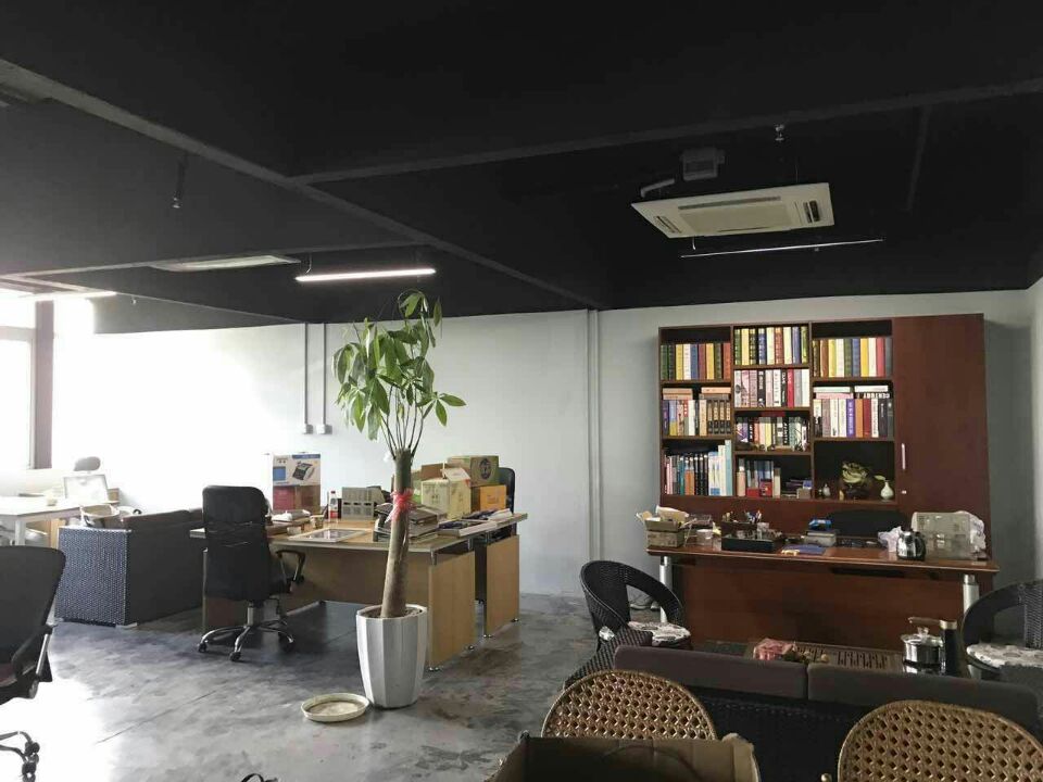 办公室植物摆放风水(图1) 办公室植物摆放风水(图1)