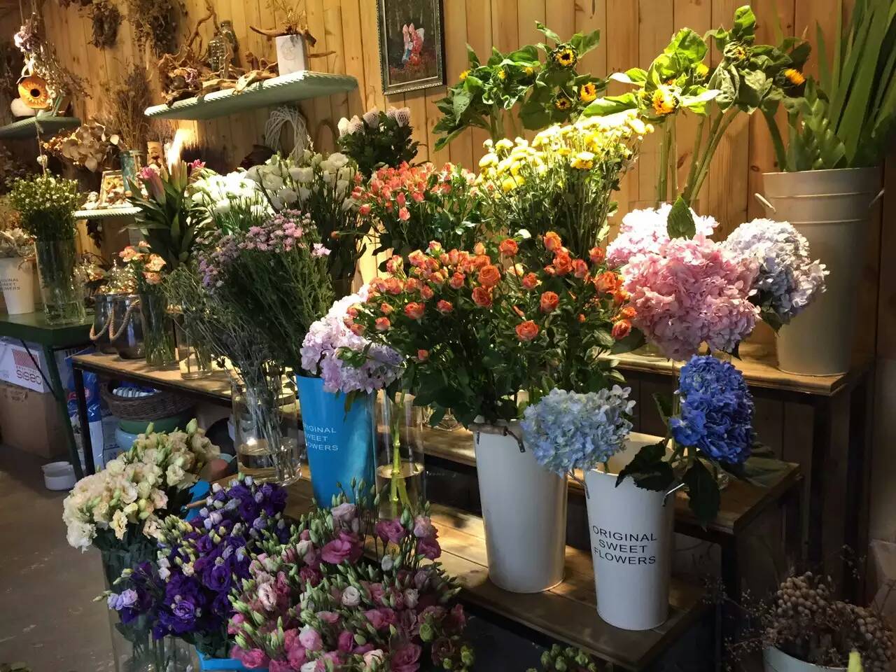 花店装修设计注意要点(图1) 花店装修设计注意要点(图1)